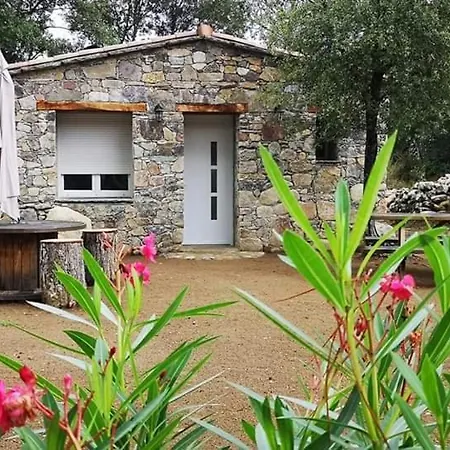 Domaine Rondini