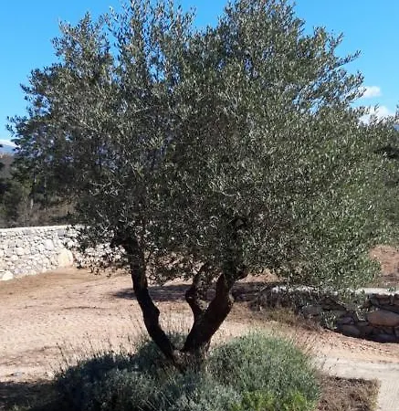 Domaine Rondini *