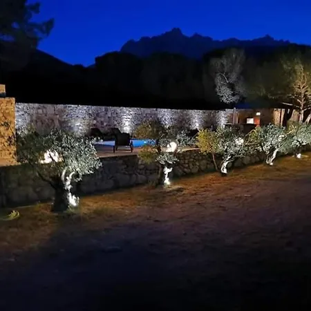 Domaine Rondini * Moltifao